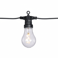 20 LED SPIRAL FILAMENT BULB FESTOON  - CONNECTABLE