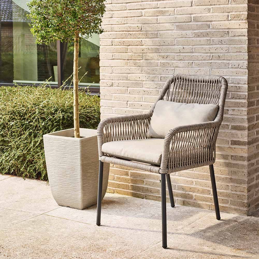 Celia Dining Chair