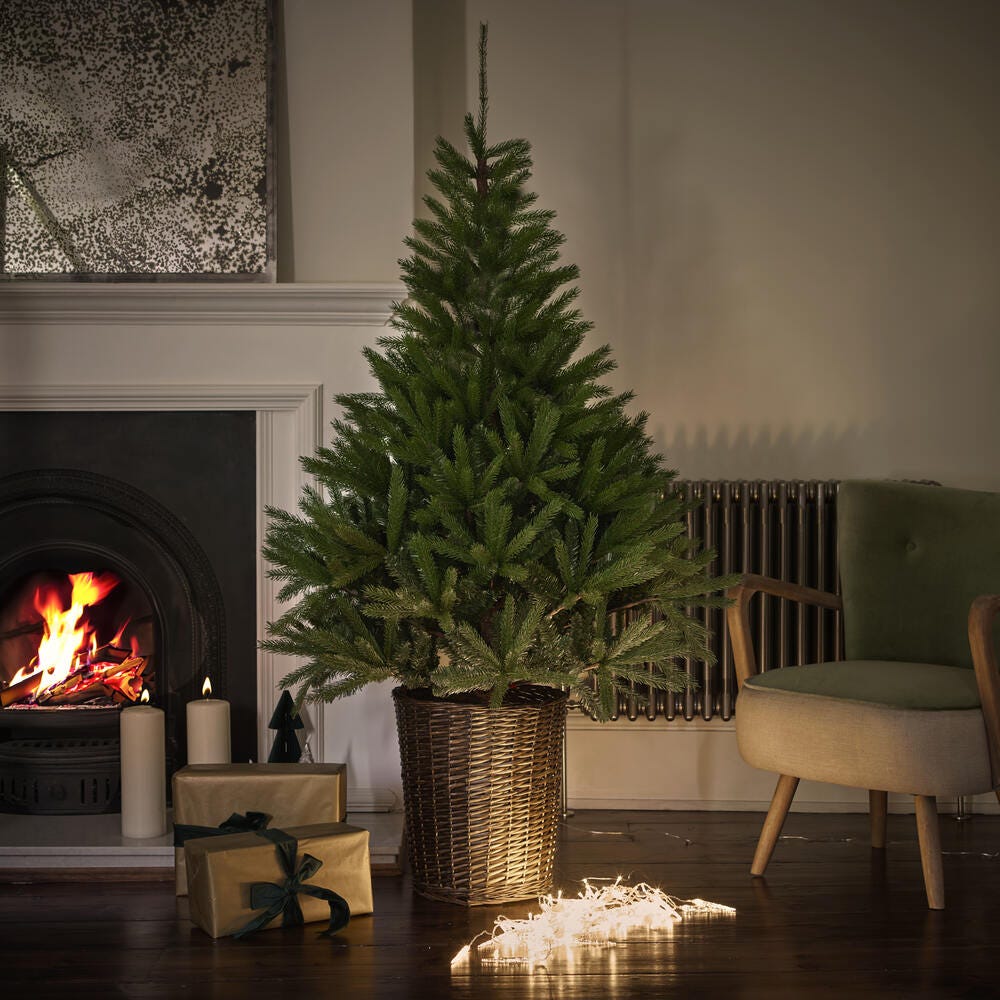 Glenside Fir Tree Basket 6Ft Tall