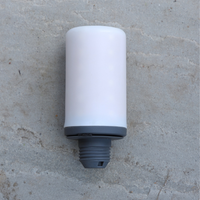 MAGBULB WITH REMOTE