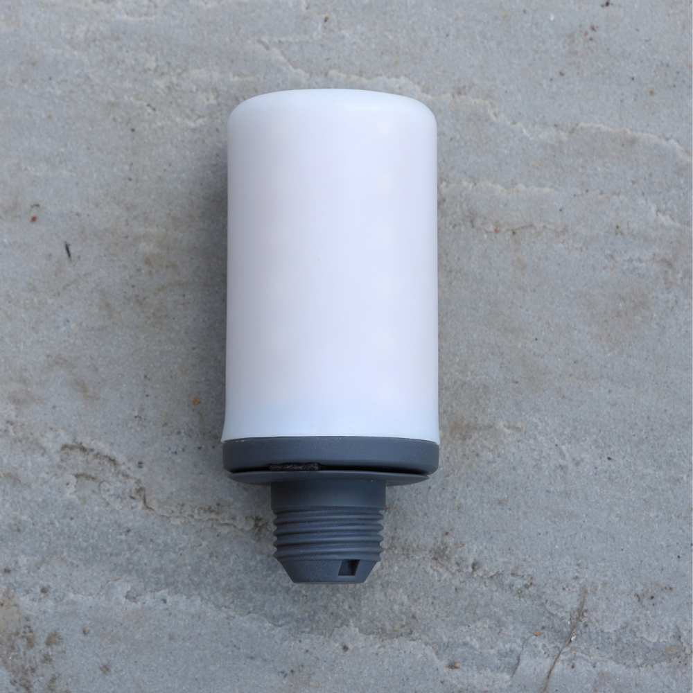 MAGBULB WITH REMOTE
