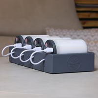 MAGBULB 4 PORT CHARGING STATION