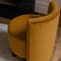 WESLEY OCCASIONAL CHAIR IN MUSTARD VELVET