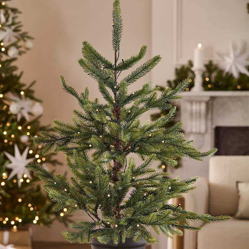 Nordmann Fir PreLit Potted Tree 3 Ft Tall