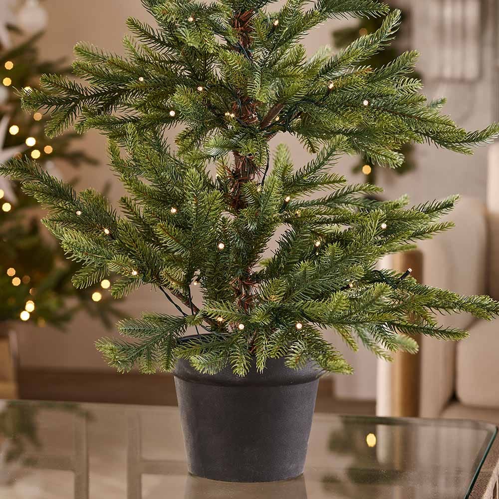 Nordmann Fir Pre-lit Potted Tree - 3 Ft Tall