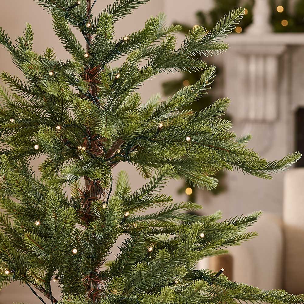 Nordmann Fir Pre-lit Potted Tree - 3 Ft Tall