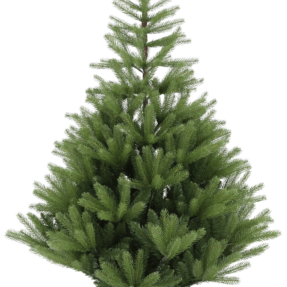 Glenside Fir Tree in Basket - 6ft Tall