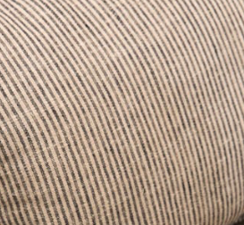 Ticking Fabric Swatch