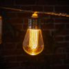 INDOOR OUTDOOR CONNECTABLE FESTOON LIGHTS - 10 MIXED ANTIQUE STYLE BULBS