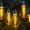 Indoor Outdoor Connectable Festoon Lights - 10 Antique Style Bulbs