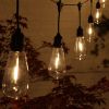 Indoor Outdoor Connectable Festoon Lights with Drop - 20 Bulbs, 7.6m Long