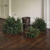 Atkin and Thyme Glenside Fir Tree in Basket - 6ft Tall
