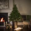 Atkin and Thyme Glenside Fir Tree in Basket - 6ft Tall