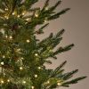 Nordman Fir Pre-lit Christmas Tree - 7ft Tall 