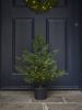 Indoor Outdoor Nordmann Fir Pre-lit Potted Tree